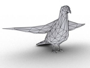 pigeon rigged 3D Model