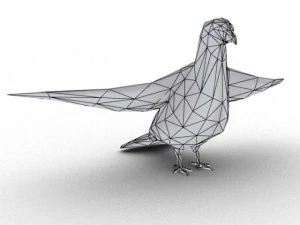 pigeon rigged 3D Model