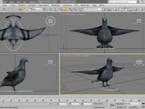 pigeon rigged 3D Model