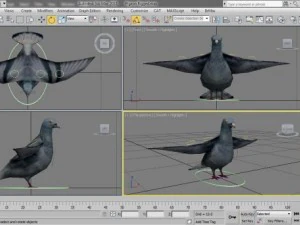 pigeon rigged 3D Model