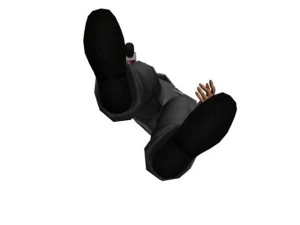 reporter Model 3D