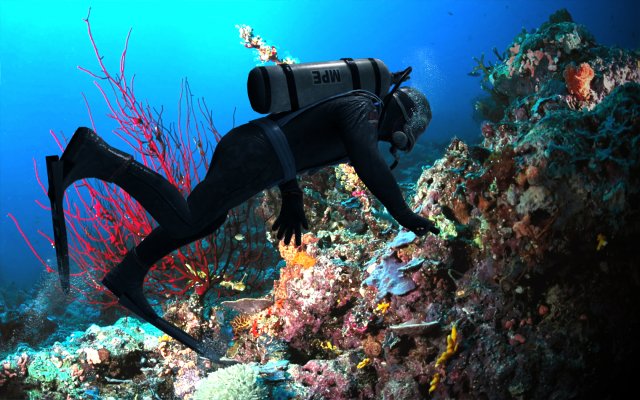 diver rigged Modèle 3D .c4d .max .obj .3ds .fbx .stl .blend 