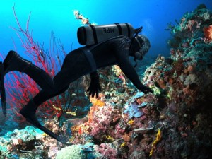 diver rigged Model 3D
