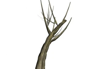 halloween pack 3D Model