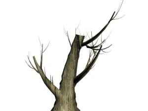 halloween pack 3D Model