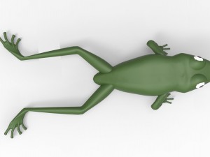 frog Model 3D