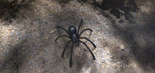 tarantula 3D Model .c4d .max .obj .3ds .fbx .stl .blend 