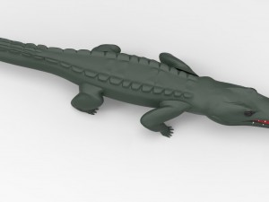 crocodile Model 3D