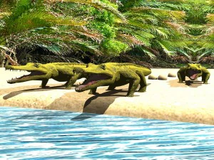 crocodile 3D Model