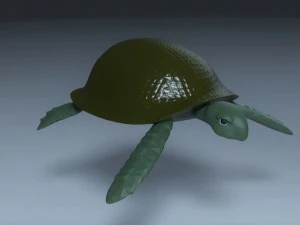 कछुआ 3D मॉडल