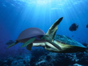 turtle 3D-Modell