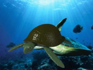 tortuga Modelo 3D