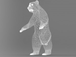 bear 3Dモデル