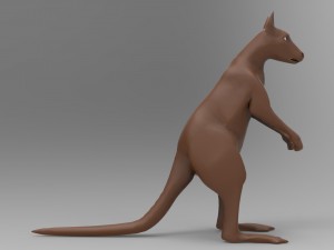 kangaroo 3D Model