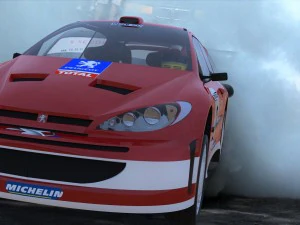 peugeot 206 rally 3D Model