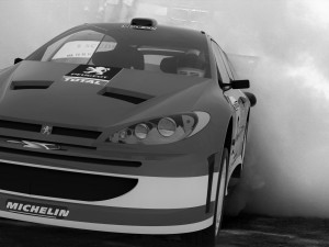 peugeot 206 rally Modello 3D