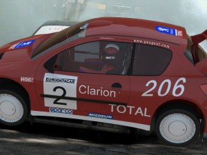 peugeot 206 rally Modello 3D