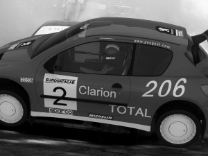 peugeot 206 rally Modello 3D