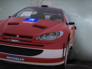 peugeot 206 rally Modello 3D