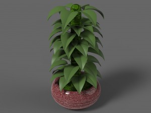 plant 1 3Dモデル