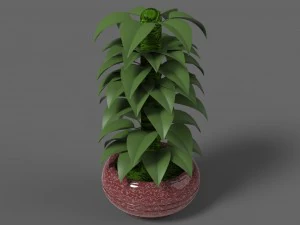 plant 1 3D Model