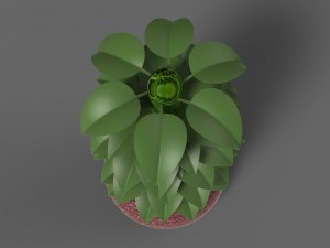 plant 1 3D Modell