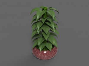 plant 1 3D Modell