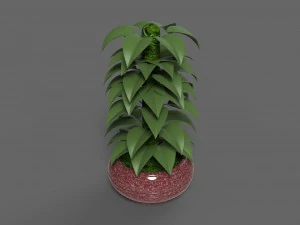 plant 1 3D Model