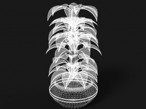 plant 1 3D Modell