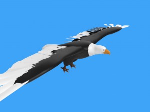 baldeagle 3D मॉडल