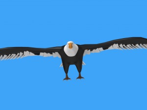baldeagle 3D मॉडल