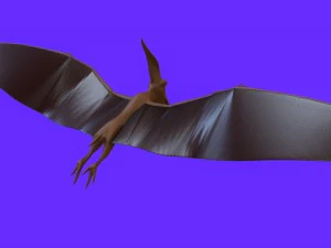 pterodactyl 1 3D Model