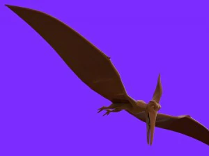 翼龙1号 3D 模型