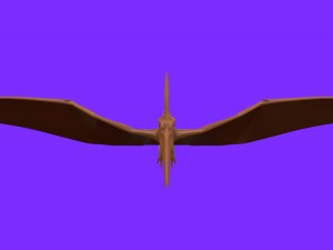 pterodactyl 1 Modello 3D