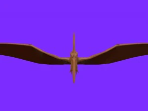 pterodactyl 1 3D Model