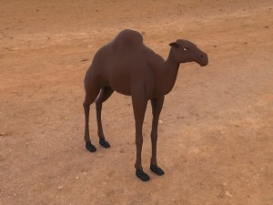 camel Modelo 3D