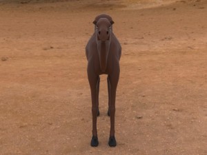 camel Modelo 3D