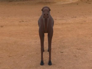 camel 3D Model