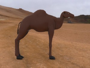 camel Modelo 3D