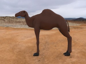 camel Modelo 3D