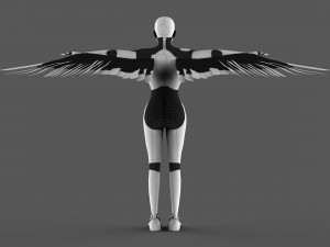flaying xenia 3D Model
