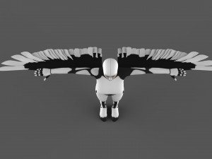 flaying xenia 3D Model