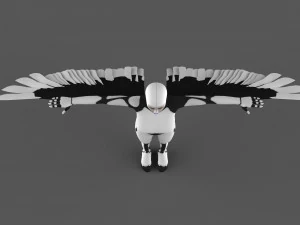 flaying xenia 3D Model