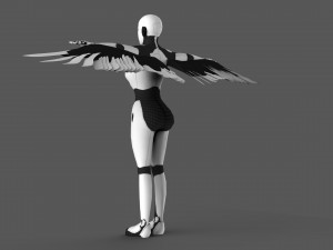 flaying xenia 3D Model