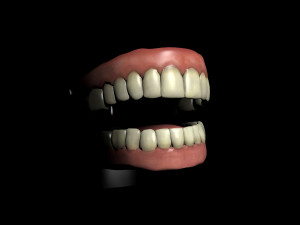 jaws Model 3D
