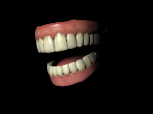 jaws 3D 모델