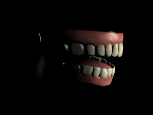 jaws 3D 모델