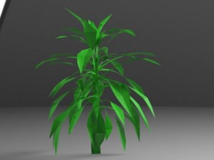 tank plant Modelo 3D