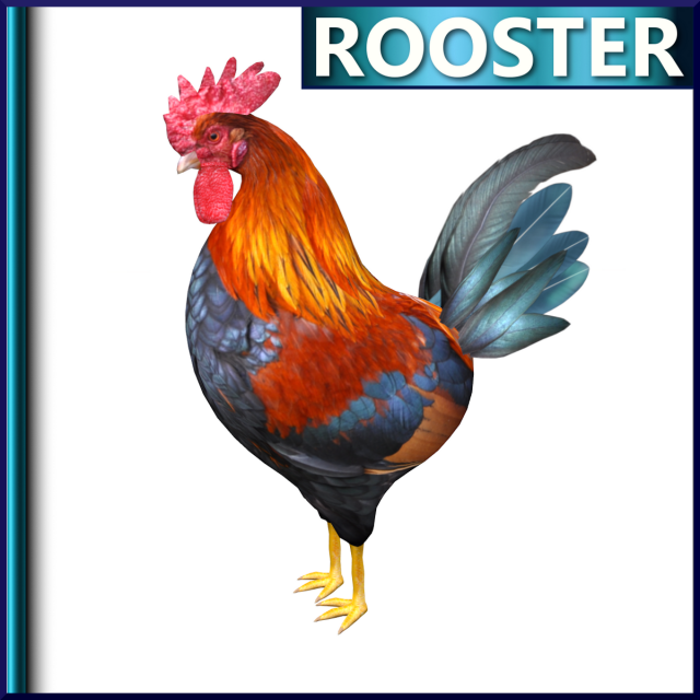 rooster Model 3D .c4d .max .obj .3ds .fbx .stl .blend 