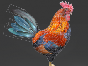 rooster Model 3D